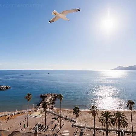 Vista Cannes
